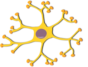 Neuron