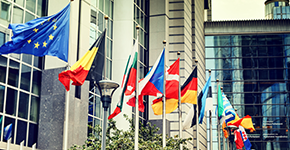 Comply with overseas laws and standards