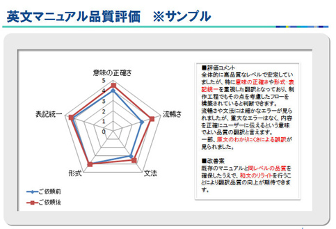 Evaluation Report Sample