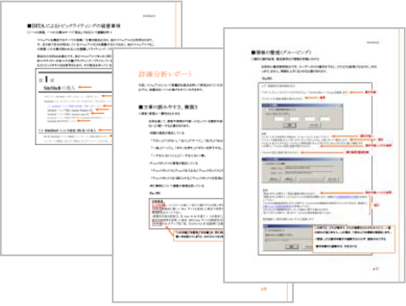 Report Sample