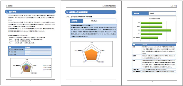 Example of Machine Translation Evaluation Report
