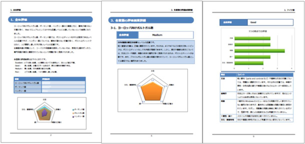Example of Machine Translation Evaluation Report
