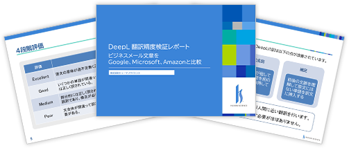 DeepL Translation Accuracy Verification Report