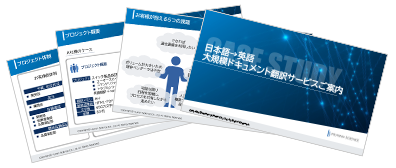 Japanese to English Large-Scale Document Translation Service Information