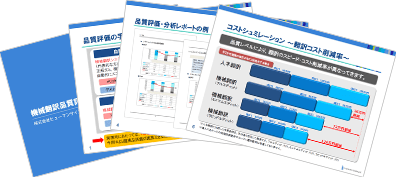 Machine Translation Quality Evaluation and Analysis Report Sample