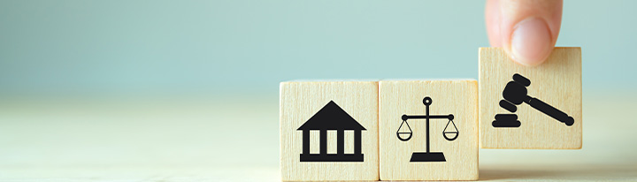 2. Fields Covered by Legal Translation