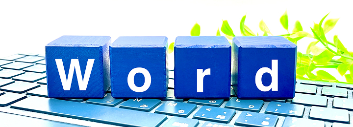 2. Characteristics of Microsoft Word