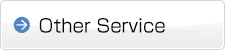 Other Service